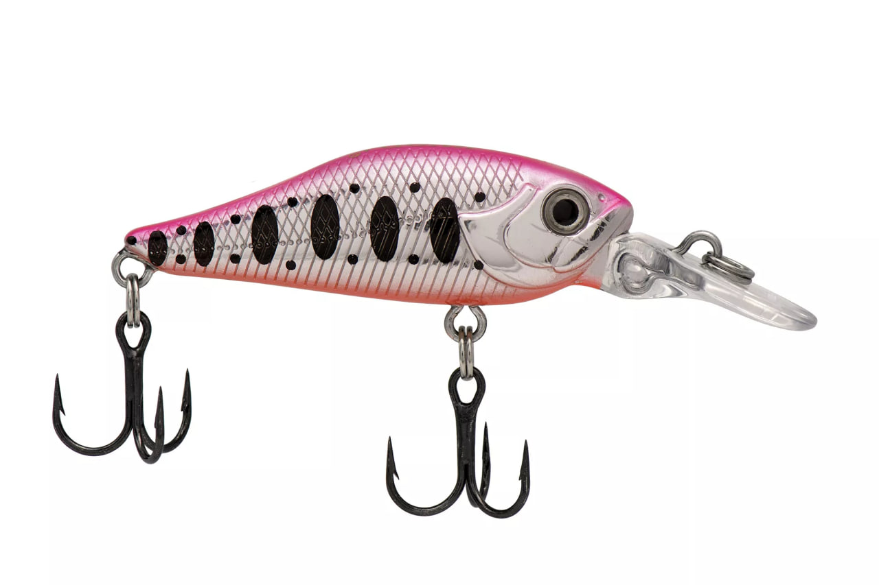 NANO Minnow
